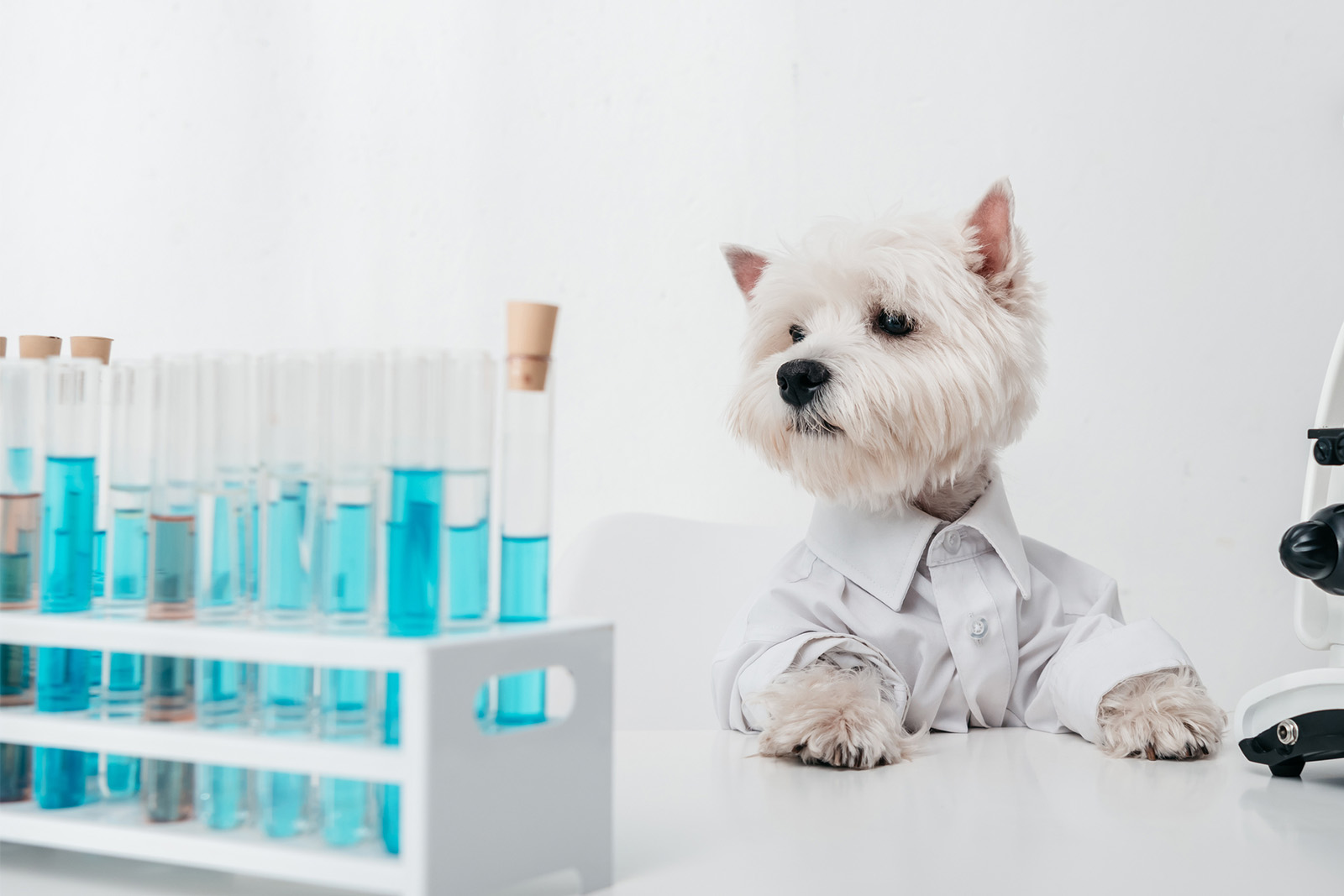 Services – Southeast Vet Labs